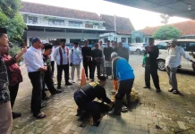 Sambut WHO 2026, MUI Banyuwangi Cetak Juru Sembelih Halal