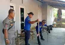 Damkar Bondowoso Evakuasi Ular Piton di Rumah Warga