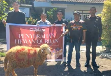 Semarak Idup Adha, Citiplaza Salurkan Hewan Kurban