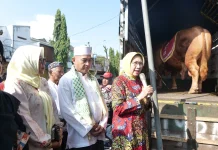 Bantuan Sapi Kurban Presiden Perkuat Peternak Lokal