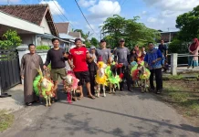 Tradisi Idul Adha di Lumajang, Kambing Dirias dan Diarak sebelum Dikurbankan