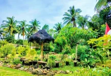 Nara Food Garden : Dari Pekarangan ke Peradaban