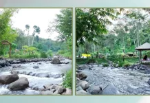 Wisata Sungai Asri yang Cocok untuk Liburan Keluarga