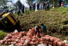 Truk Muat Wortel Masuk Jurang di Wringin