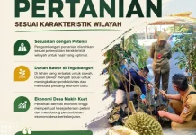 Lumajang Kembangkan Pertanian Sesuai Karakteristik Wilayah