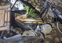 Tabrakan Motor dan Elf di Lumajang, Pemotor Luka Berat