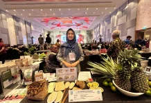 Sinergi Pemkab Jember dan BRI Dorong Modernisasi BUMDes