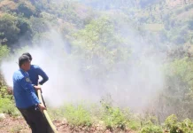Karhutla Bakar 2.000 Meter Persegi Lahan di Arak-arak