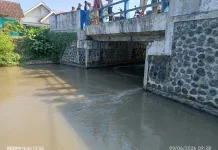 Petugas Pengairan Hanyut di Sungai Wringintelu Puger