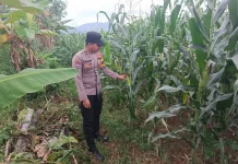 Polisi di Tempursari Lumajang Sukseskan Asta Cita