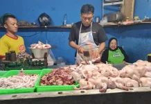 Harga Daging Ayam Broiler di Situbondo, Rp20.000