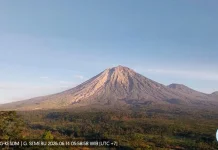 Kesiapsiagaan dan Informasi Resmi Jadi Kunci Mengurangi Risiko Bencana