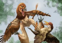 Dinosaurus Kerabat Velociraptor di China Diduga Gemar Memangsa Burung