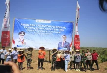 Perluasan Lahan Tebu di Situbondo Lebihi Target
