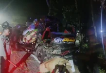 Truk Adu Banteng di Rowokangkung Lumajang, Tiga Orang Terluka