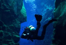 Turis di Okinawa Ikut Bantu Lacak Hiu Langka yang Terancam Punah