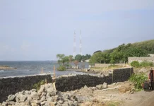 DLH Menyatakan, Perusahaan Disanksi Administratif karena Merusak Mangrove