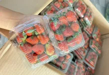 Strawberry, Buah Merah yang Baik untuk Menunjang Performa Atlet Sepak Bola
