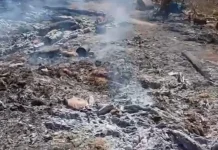 Gubuk Hutan Berisi Hasil Panen dan Motor Terbakar