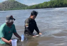 DLH Ambil Sampel Air Laut Diduga Tercemar Limbah