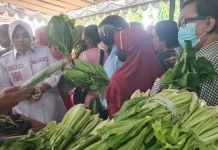 Pemkab Situbondo Kampanye POC lewat Bagi-bagi Sayur Organik