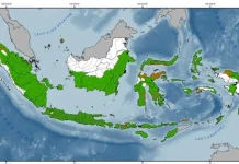 BMKG Imbau Warga Pesisir Waspadai Potensi Banjir Rob hingga Akhir Juni