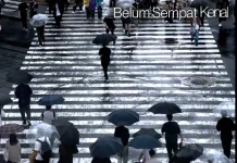 Lirik Lagu "Belum Sempat Kenal" - Bernadya