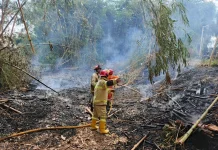 PKK Pondok Bedadung Himbau Warga untuk Waspada Kebakaran di Musim Kemarau