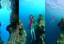 Surga Bawah Laut "Menjangan Cave" Memikat Freediver dari Berbagai Daerah