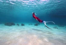 Mengenal Freedive lewat Perjalanan Karenina Menjelajahi Laut Indonesia