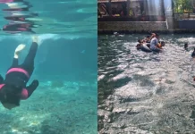 Kejernihan Sendang Bektiharjo Memikat Wisatawan dari Berbagai Daerah