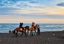 Segoro Topeng Kaliwungu Gerakkan Ekonomi Pantai Watu Pecak, Ojek Kuda Raup Rezeki