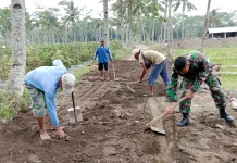 TNI Bantu Warga Perbaiki Jalan Desa Candipuro Lumajang