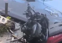 Kecelakaan karena Hindari Kucing, Pengendara Meninggal Dunia