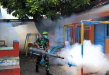 TNI Dampingi Fogging Cegah DBD di Citrodiwangsan Lumajang