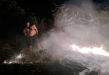 Kebakaran Lahan Ilalang Seluas 10 Hektare Berhasil Dipadamkan