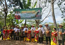 Kerjasama Agroforestri, Dukung Ketahanan Pangan Melalui Perluasan Areal
