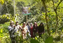 Petani Bersama Dinas Pertanian Lumajang Kendalikan Hama Monyet
