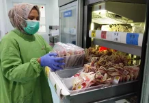 Donasi Darah PMI Jember Capai 22.390 Kantong pada Semester I 2026