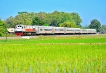 KA Probowangi Jadi Kereta Favorit Penumpang pada Semester I 2026