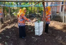 Posdaya Senduro Buktikan Lansia Tetap Produktif dan Bermartabat