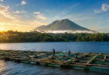 Koyo, Saat Ranu Klakah Mengajari Manusia Membaca Bahasa Alam