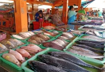 Cuaca Buruk Picu Harga Ikan Muncar Melonjak
