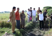 Pemkab Jember Targetkan Optimalisasi 7.070 Hektare Lahan Pertanian pada 2026