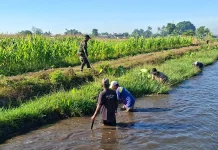 Kelompok Tani Bersama TNI Normalisasi Sungai Irigasi