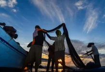 Sukses Kelola Laut Berkelanjutan, Banyuwangi Jadi Tuan Rumah ASEAN-ID Blue