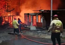 Damkar Jember Catat Kebakaran Meningkat Selama Musim Kemarau