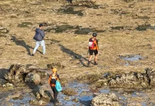 Korban Terseret Ombak Pulau Merah Belum Ditemukan