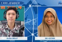 Bukan Sekadar Jualan, UMKM Banyuwangi Naik Kelas di Sekarkijang Creative Festival