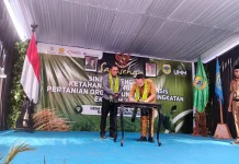 UMM dan Kemendiktisaintek Dorong Pertanian Jadi Model Penguatan Ekonomi Petani
